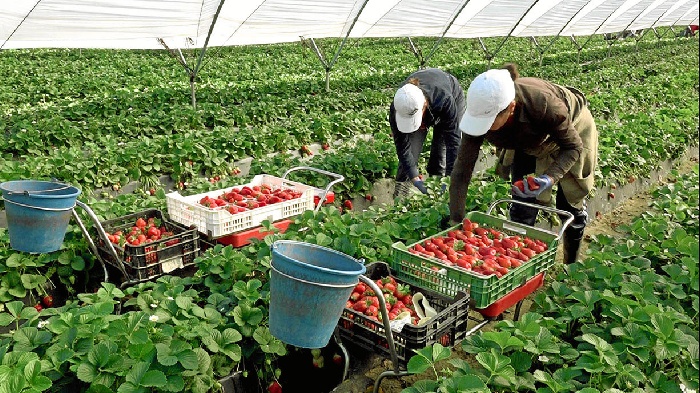 Trabajadores cristianos y sindicatos de Huelva buscan dignificar las condiciones de las personas migrantes