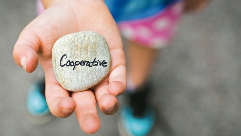 Aula Rovirosa-Malagón: Aportación del cooperatismo integral (COPIN) de Guillermo Rovirosa