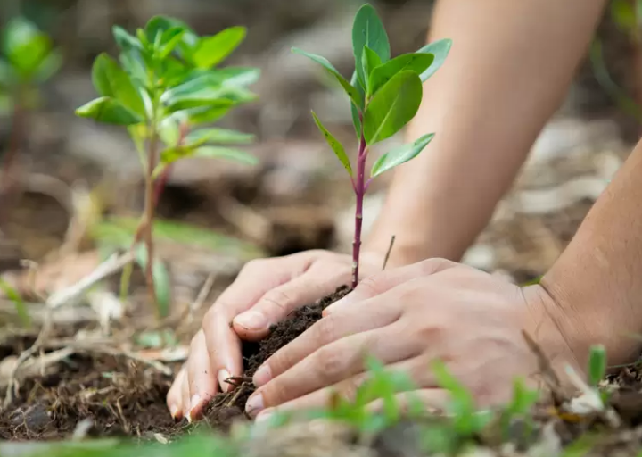 La Iglesia española reclama la condonación de la deuda con los países del Sur por justicia ambiental