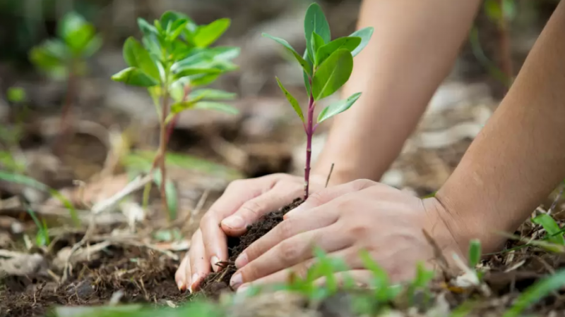 La Iglesia española reclama la condonación de la deuda con los países del Sur por justicia ambiental