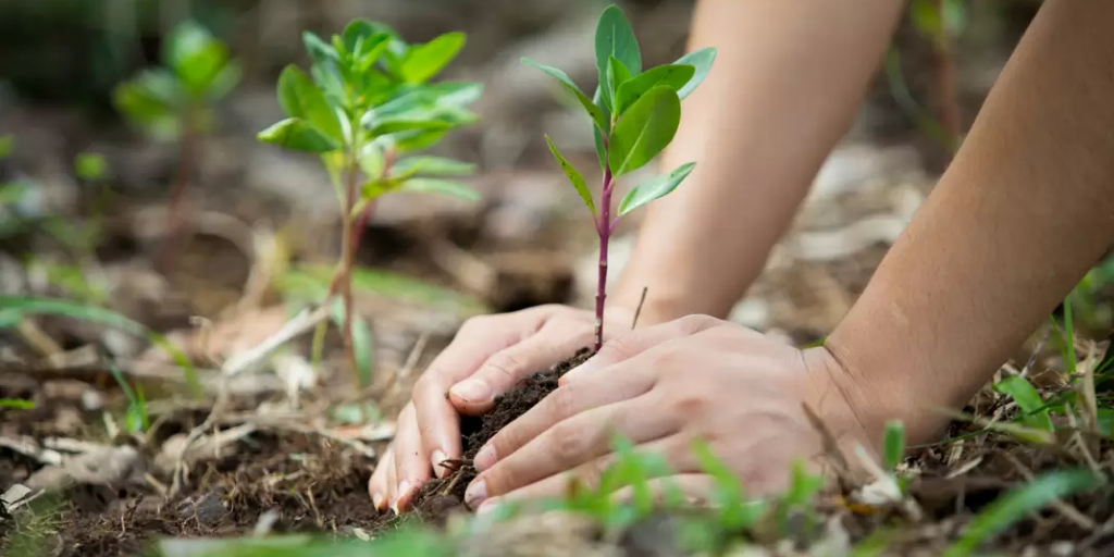 La Iglesia española reclama la condonación de la deuda con los países del Sur por justicia ambiental
