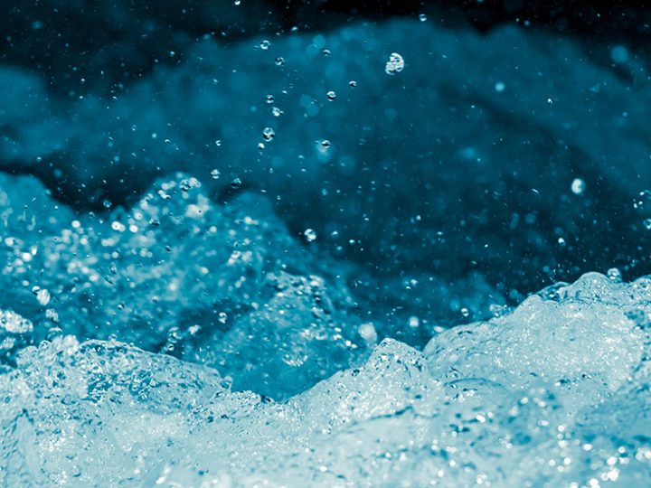Francisco pide un cambio radical para preservar el agua