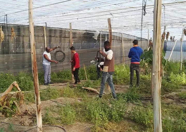 El Defensor del Pueblo se une a la Iglesia para pedir la regularización de personas trabajadoras migrantes