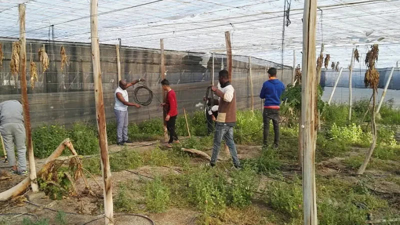 De la desesperanza a acompañar y cuidar la vida