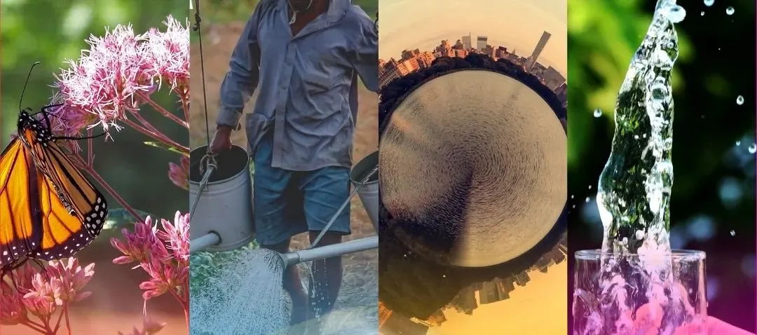 Diálogos sobre derechos humanos y ecología