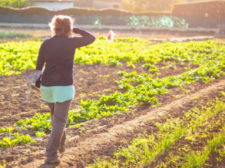 Esther Lynch (CES): “Las muertes por calor en el trabajo no son accidentes: son previsibles y evitables”