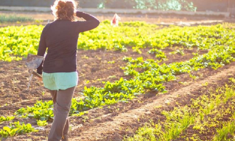 Esther Lynch (CES): “Las muertes por calor en el trabajo no son accidentes: son previsibles y evitables”