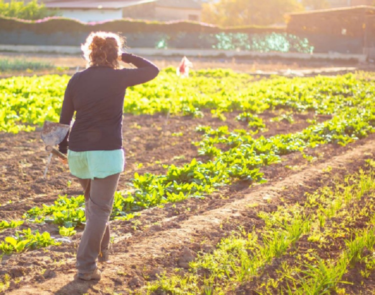 Esther Lynch (CES): “Las muertes por calor en el trabajo no son accidentes: son previsibles y evitables”