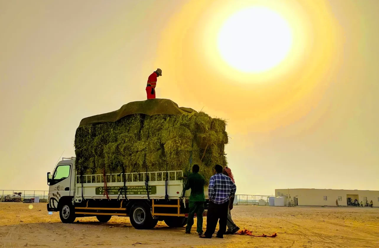 El calor es un asesino silencioso para la salud y la vida de las personas trabajadoras en todo el mundo, dice la OIT