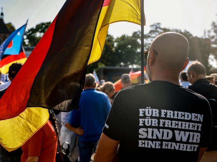 Alemania en su laberinto. Cuando la ultraderecha define el tablero político
