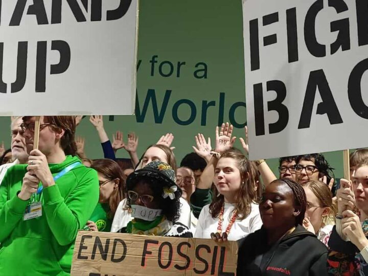 Nueva frustración climática: La #COP29 no aporta soluciones de fondo