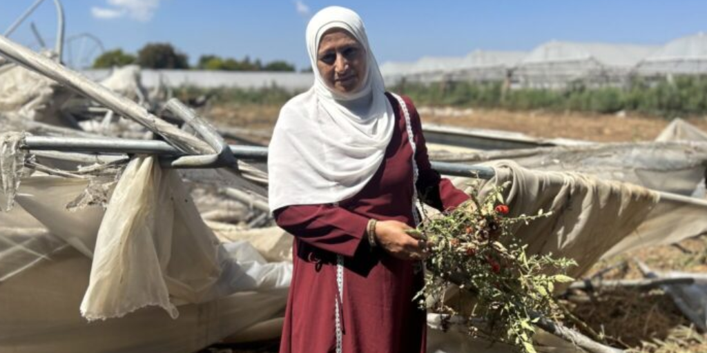Las mujeres palestinas de Cisjordania padecen explotación y acoso laboral a manos de colonos israelíes