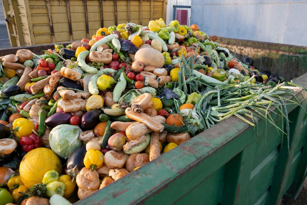 Ley de desperdicio alimentario: avanza por el buen camino, pero es poco concreta