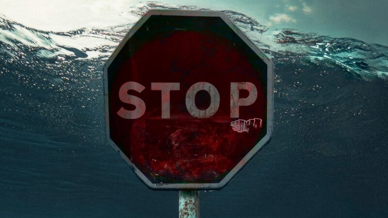 El Festival de Cine y Derechos Humanos de San Sebastián aborda migración, derechos laborales y justicia social