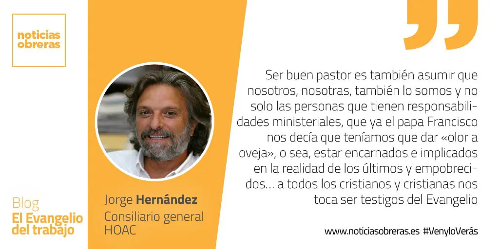 «Yo doy la vida eterna a mis ovejas»