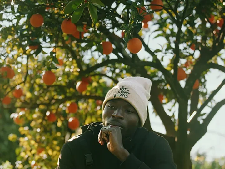 Frutos amargos