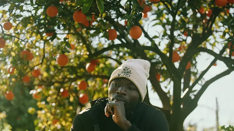 Frutos amargos