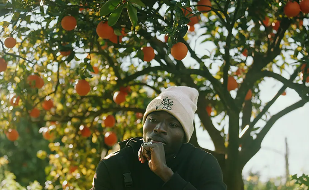 Frutos amargos