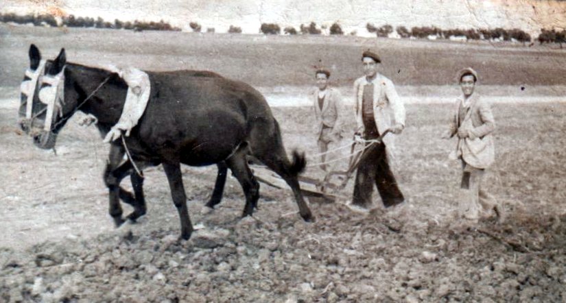 ¿Por qué algunos jóvenes creen que “con Franco se vivía mejor”?