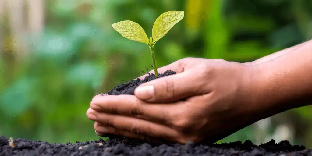 La Iglesia llama a condonar las deudas impagables y ecológica