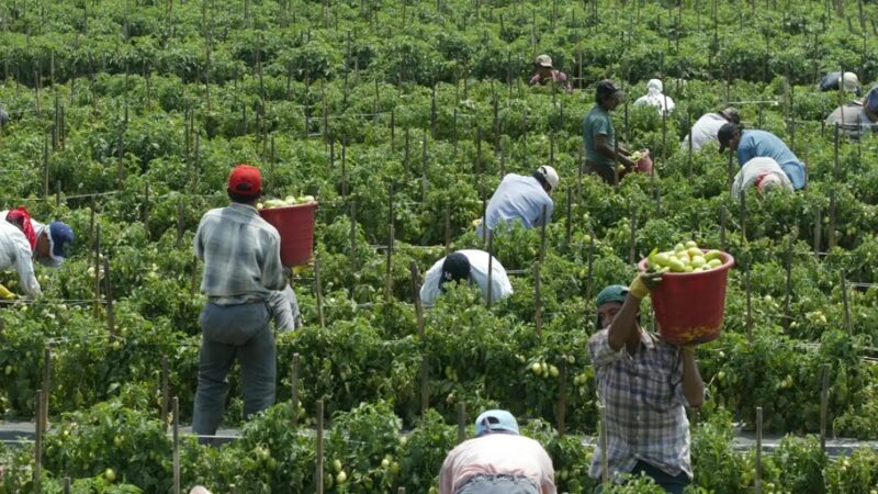 Regularización extraordinaria de migrantes: preguntas y respuestas clave