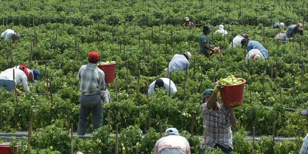 Regularización extraordinaria de migrantes: preguntas y respuestas clave