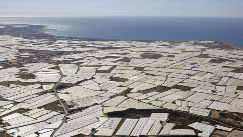 A propósito de la regularización de personas migradas
