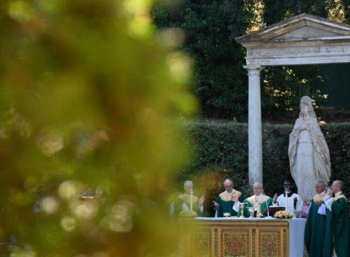León XIV: “Muchos, dentro y fuera de la Iglesia, aún no reconocen la urgencia de cuidar nuestra casa común”
