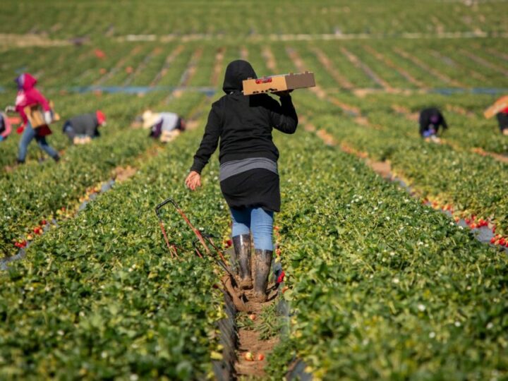 Las personas trabajadoras migrantes en Europa y Norteamérica ganan menos que las nativas: aquí las razones