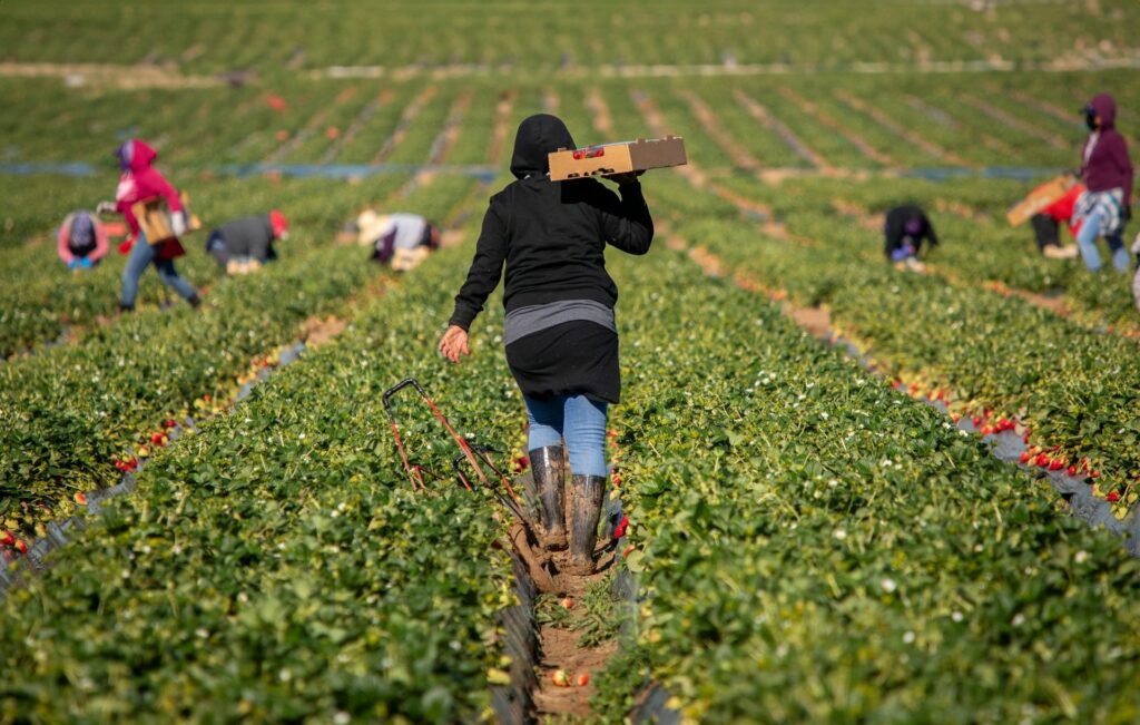 Las personas trabajadoras migrantes en Europa y Norteamérica ganan menos que las nativas: aquí las razones