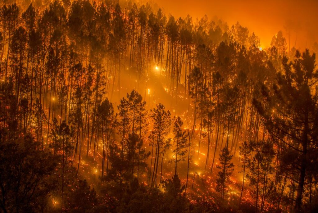 Europa está que arde: Calor extremo, sequía e incendios voraces