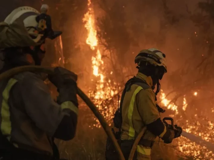 Ola de incendios y precariedad: las condiciones que ponen en riesgo a los bomberos forestales