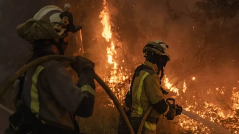 Ola de incendios y precariedad: las condiciones que ponen en riesgo a los bomberos forestales