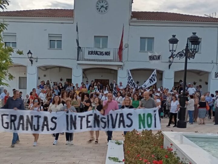 “Es una lucha tan digna que ni la fatiga les agota”