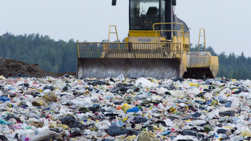 Del pensamiento a la acción: la lucha contra la contaminación por plásticos
