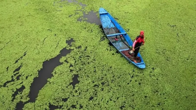Entidades católicas globales llaman a detener la guerra y promover la justicia climática