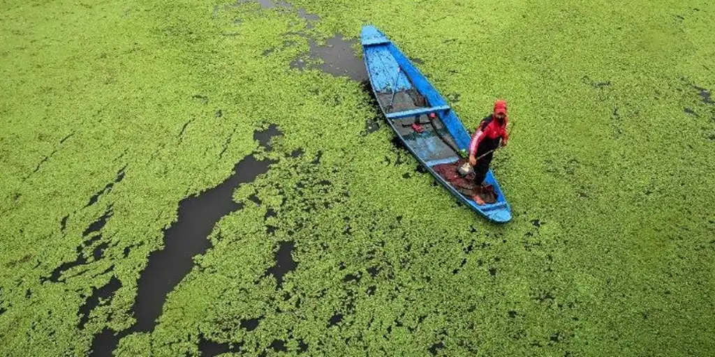 Entidades católicas globales llaman a detener la guerra y promover la justicia climática
