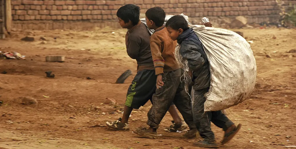 Erradicar el trabajo infantil | Justicia fiscal