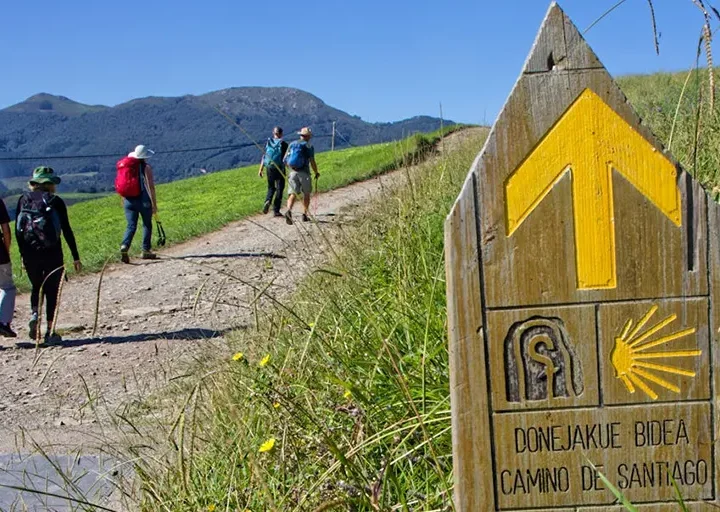 Seminario: El Camino de Santiago: un itinerario cultural, natural y espiritual para la construcción de la identidad europea