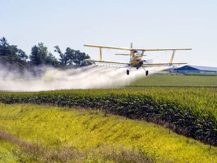 La doble moral tóxica europea: Pesticidas prohibidos pero exportados masivamente