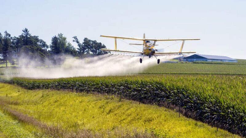 La doble moral tóxica europea: Pesticidas prohibidos pero exportados masivamente