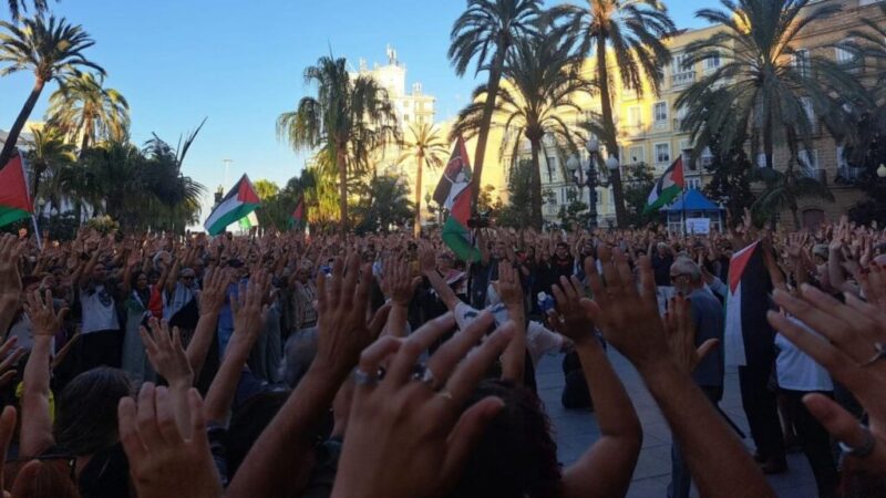 Miles de personas claman en toda Europa contra la ofensiva israelí en Gaza y la intercepción ilegal de la flotilla humanitaria
