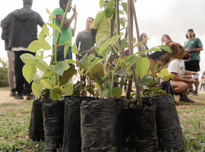 COP30: ¿Adaptación o prevención?