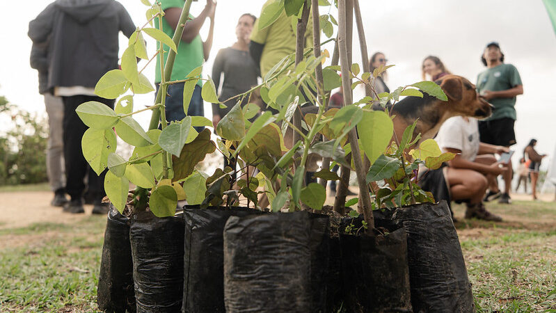 COP30: ¿Adaptación o prevención?