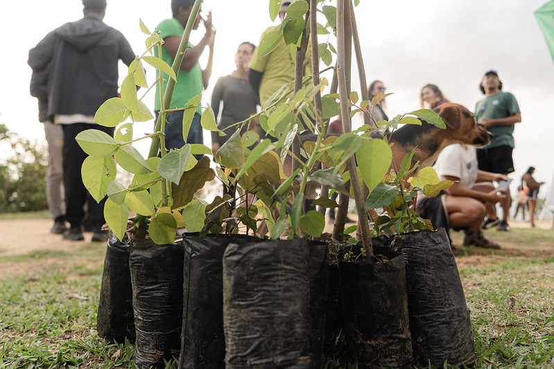 COP30: ¿Adaptación o prevención?
