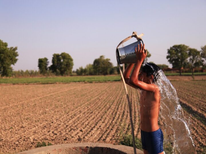 Arde el clima, se enferma la vida
