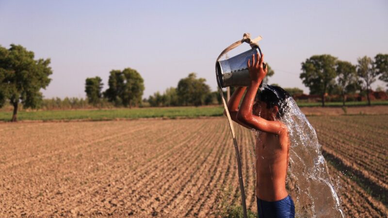 Arde el clima, se enferma la vida   