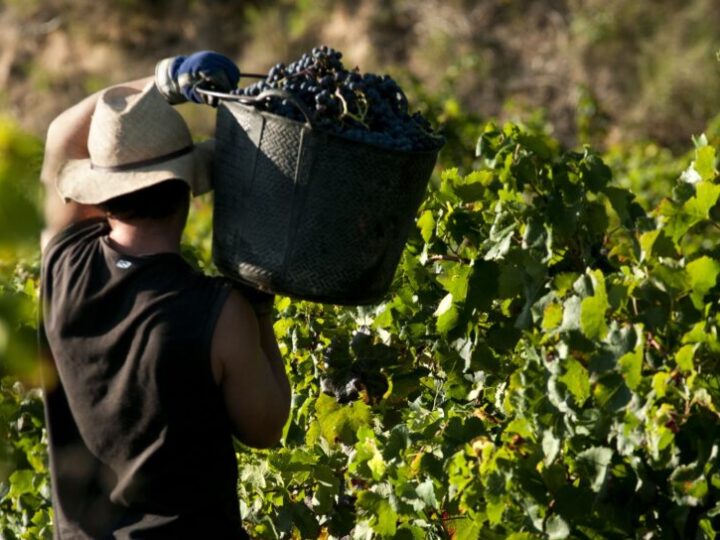 UGT reclama una reforma urgente de la Ley de Prevención de Riesgos Laborales ante su 30 aniversario