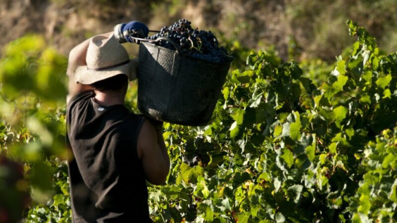 UGT reclama una reforma urgente de la Ley de Prevención de Riesgos Laborales ante su 30 aniversario