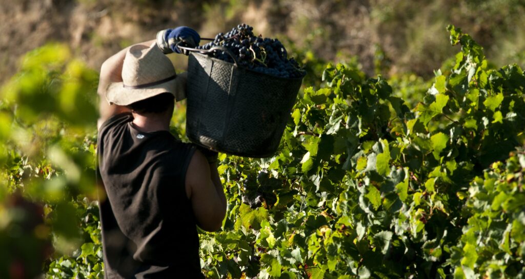 UGT reclama una reforma urgente de la Ley de Prevención de Riesgos Laborales ante su 30 aniversario